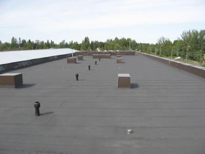 VIIALAN ENT. NAHKATEHDAS